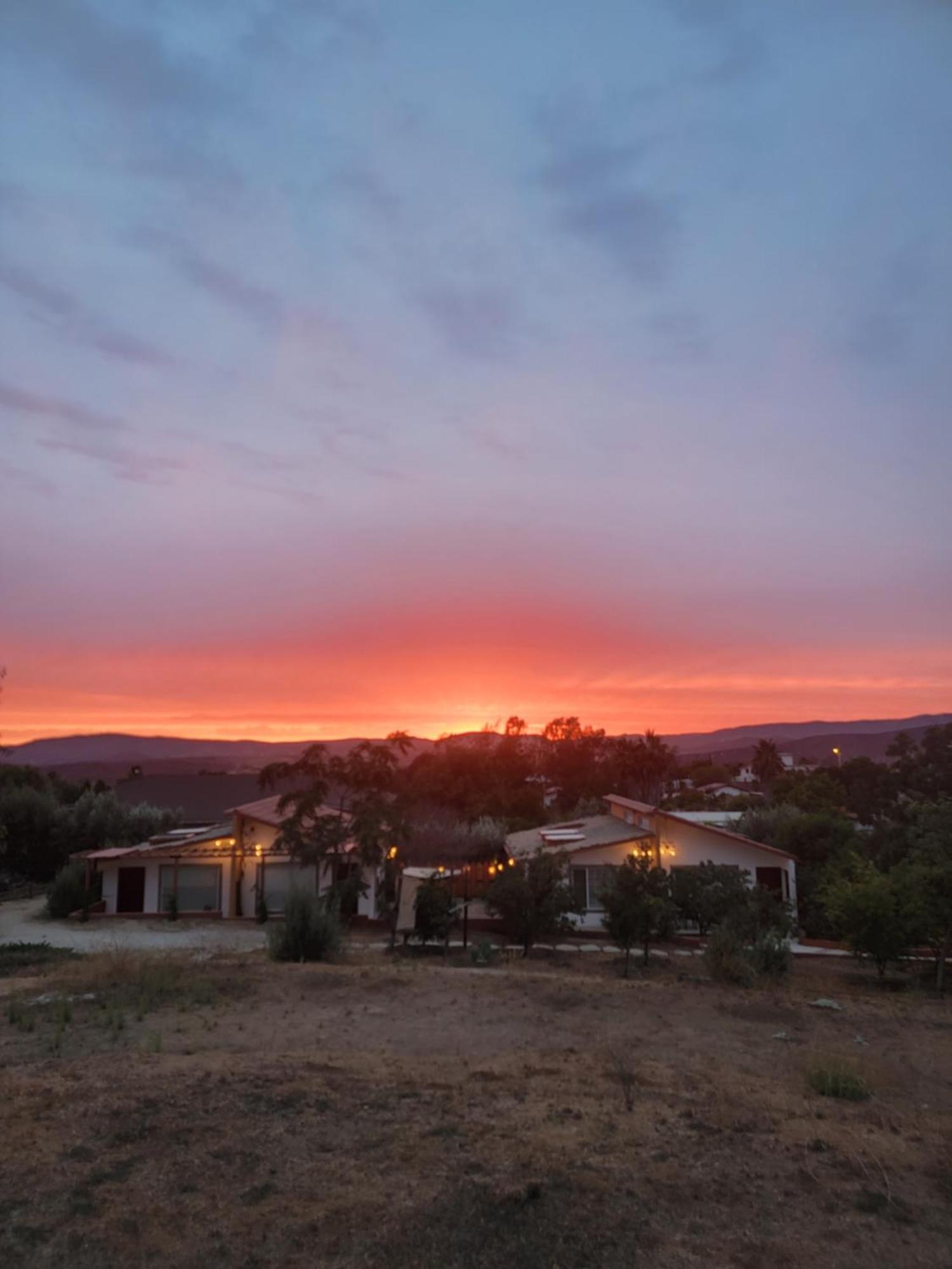 Tierra Mia Hacienda Ruta Del Vino Hotel Valle de Guadalupe Kültér fotó