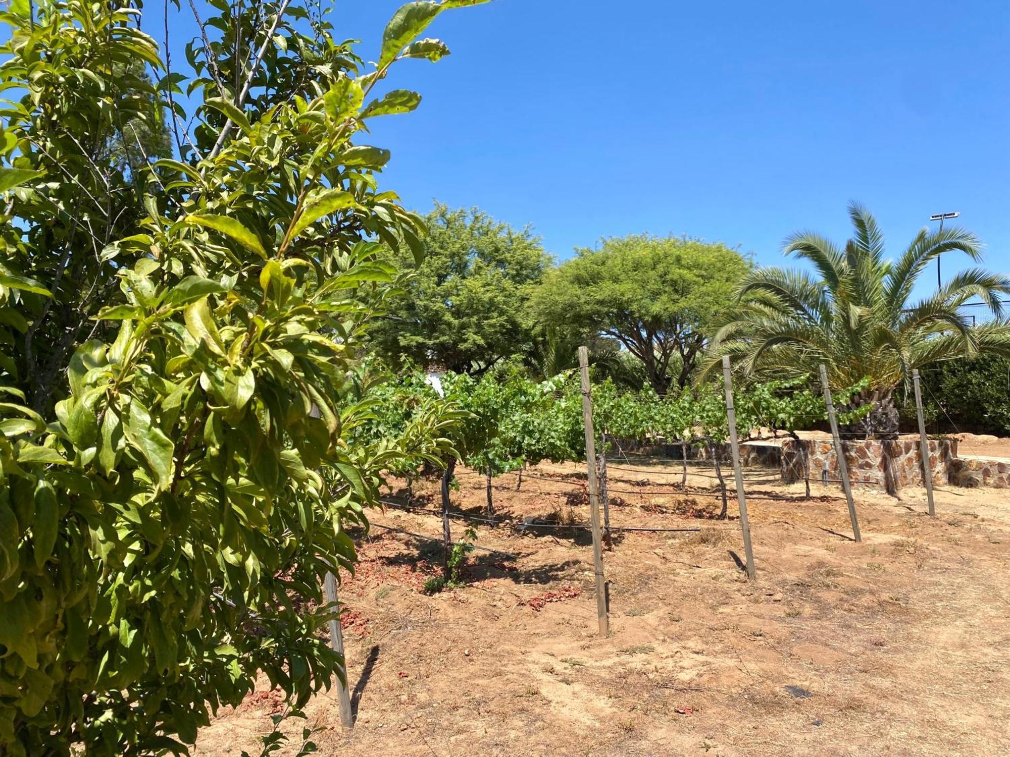 Tierra Mia Hacienda Ruta Del Vino Hotel Valle de Guadalupe Kültér fotó